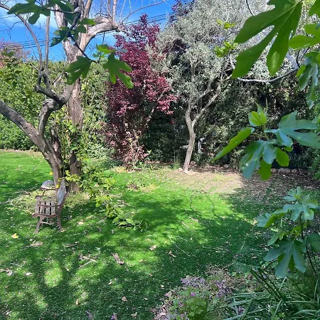Ferienhaus Esterel, Centre Ville, Jardin Arbore Et Plages *
